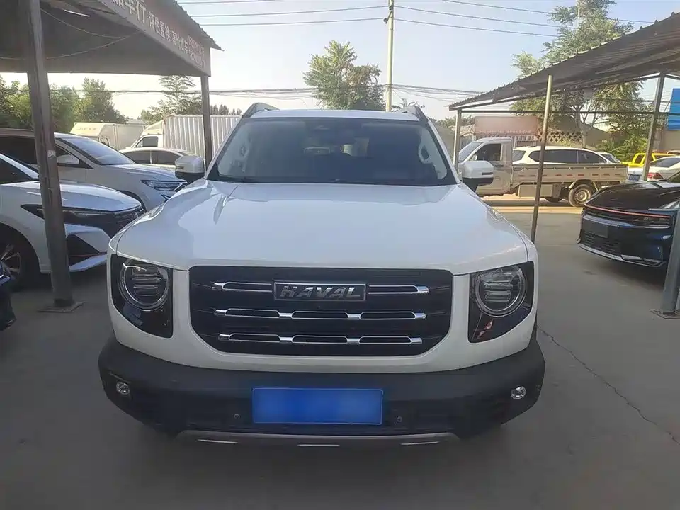 Haval Big dog