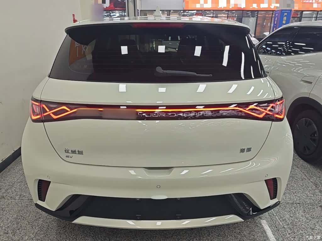 BYD Dolphin, 2024 6