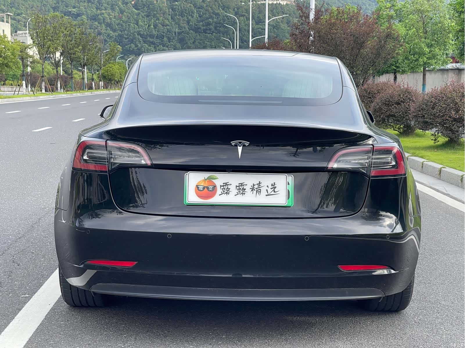 Tesla Model 3, 2020 12