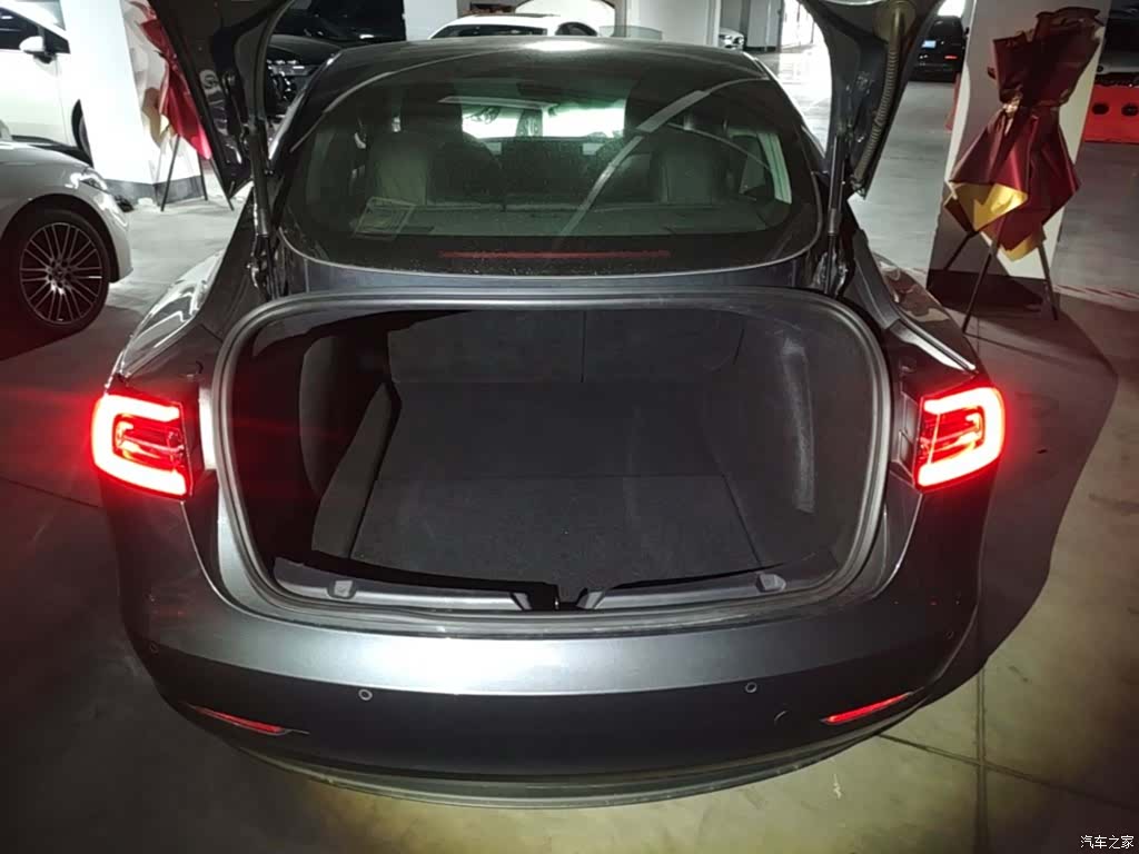 Tesla Model 3, 2020 19