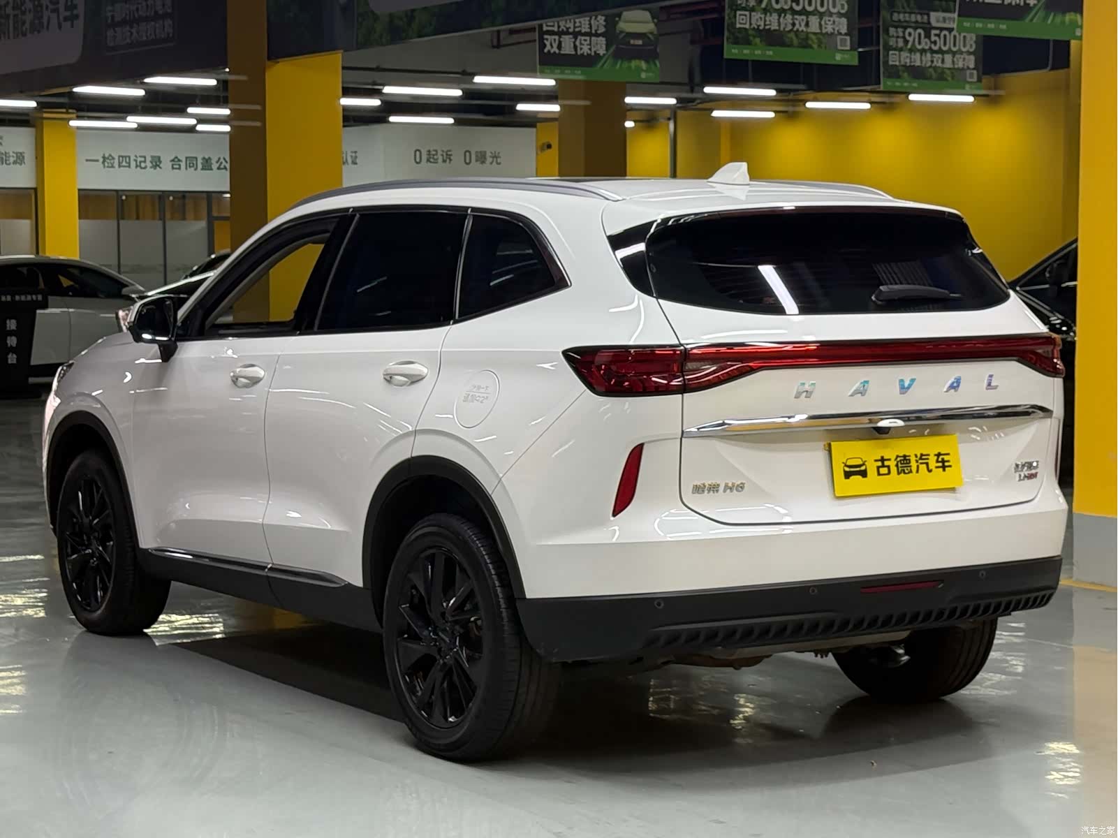 Haval H6, 2022 все фото