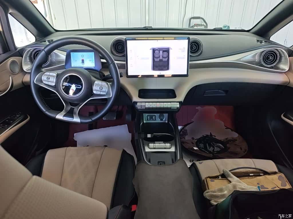 BYD Dolphin, 2024 10