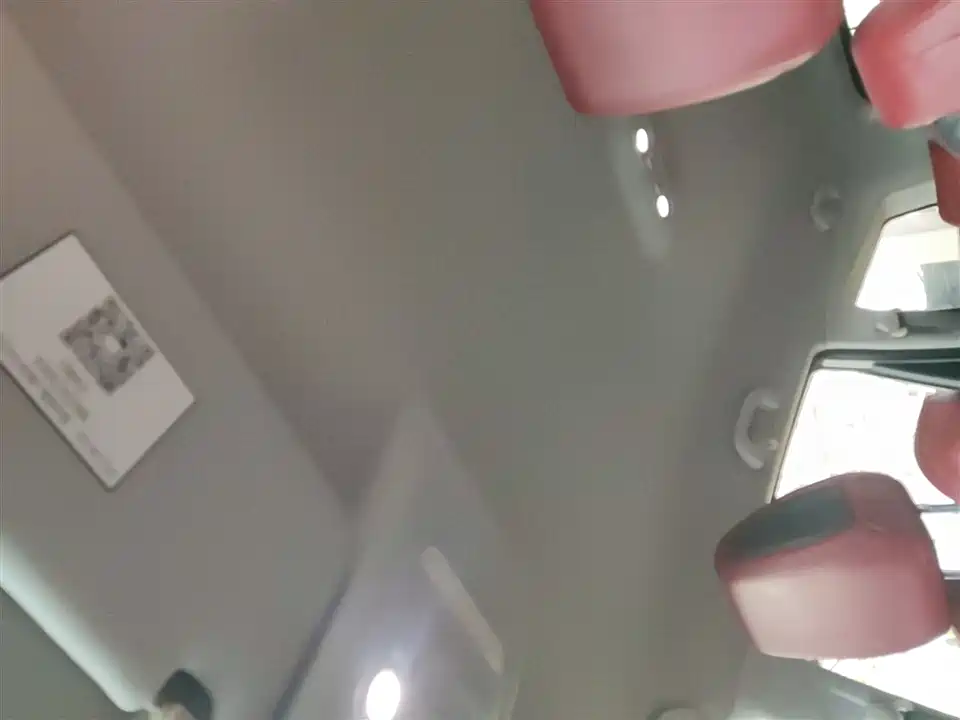 Forthing Popular T5L