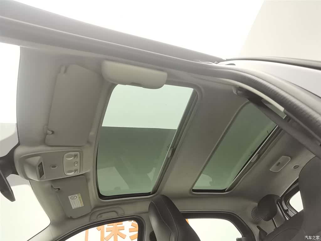 Smart Forfour, 2017 14