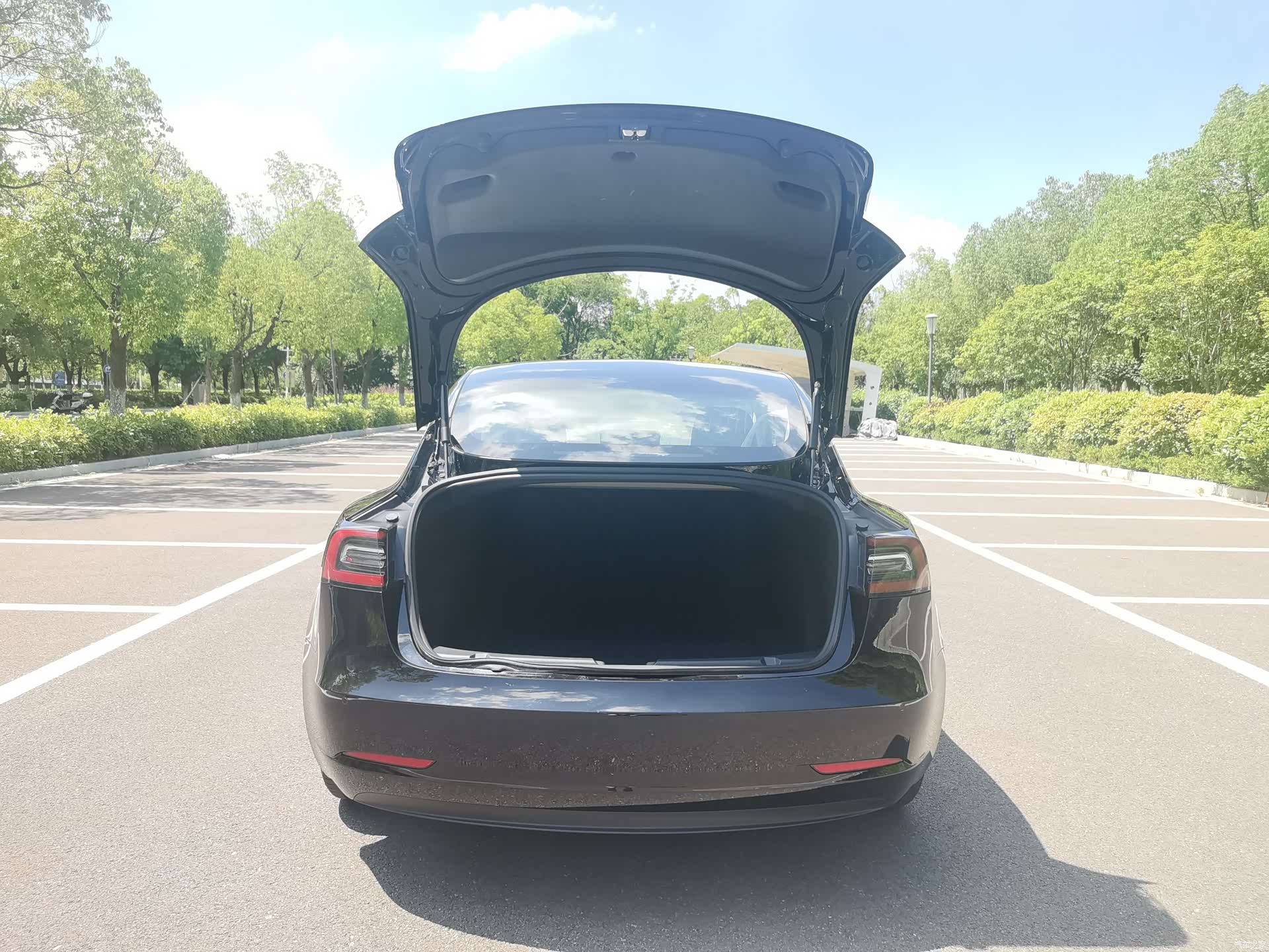 Tesla Model 3, 2020 все фото