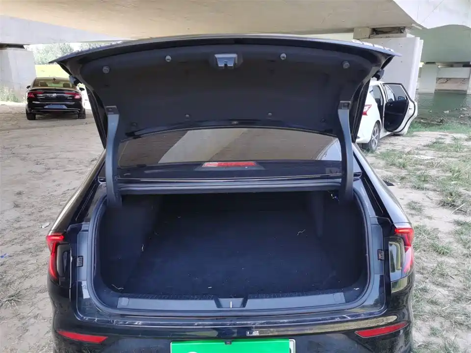 Wuling Wuling Starlight