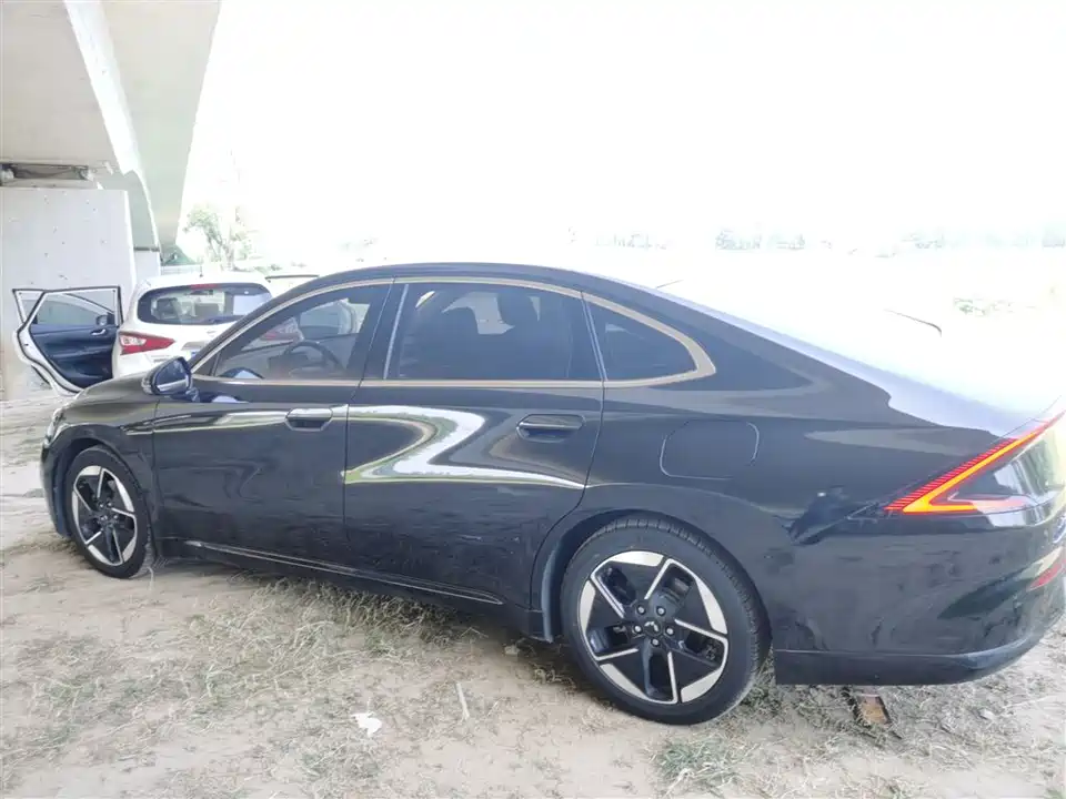 Wuling Wuling Starlight