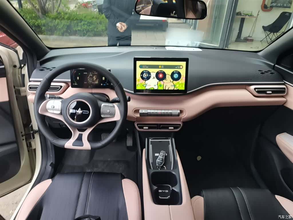 BYD Seagull, 2023 10