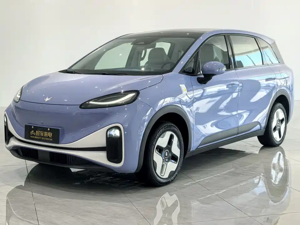 ARCFOX Polar fox koala