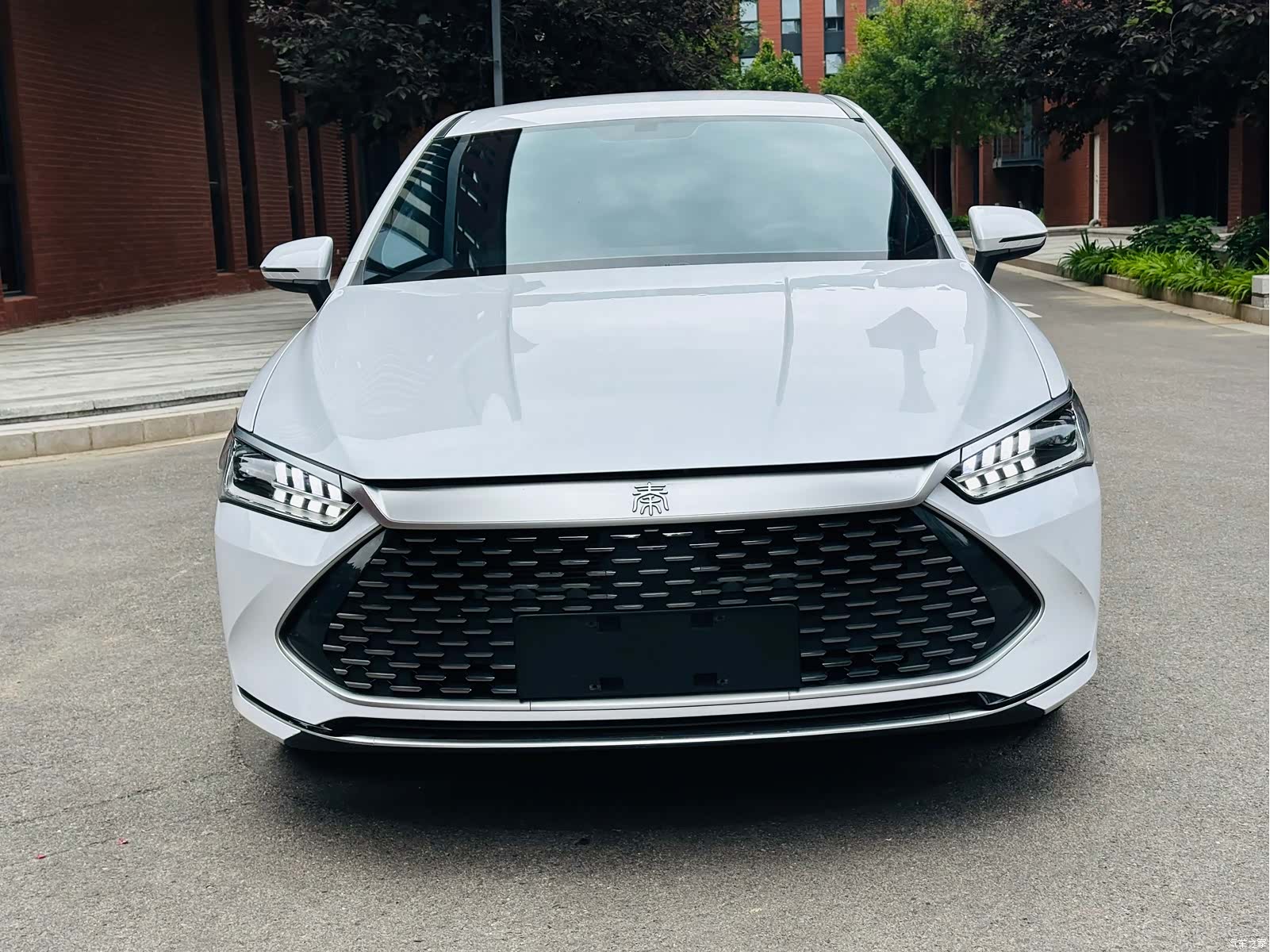 BYD Qin, 2023 2