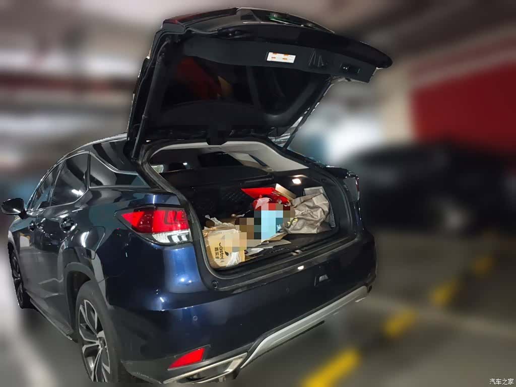 Lexus RX, 2021 10