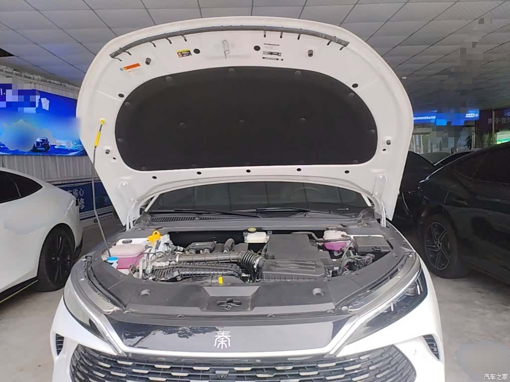BYD Qin, 2025 20