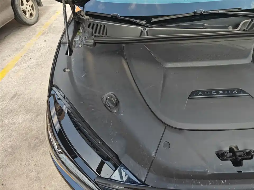 ARCFOX Polar Fox Alpha S