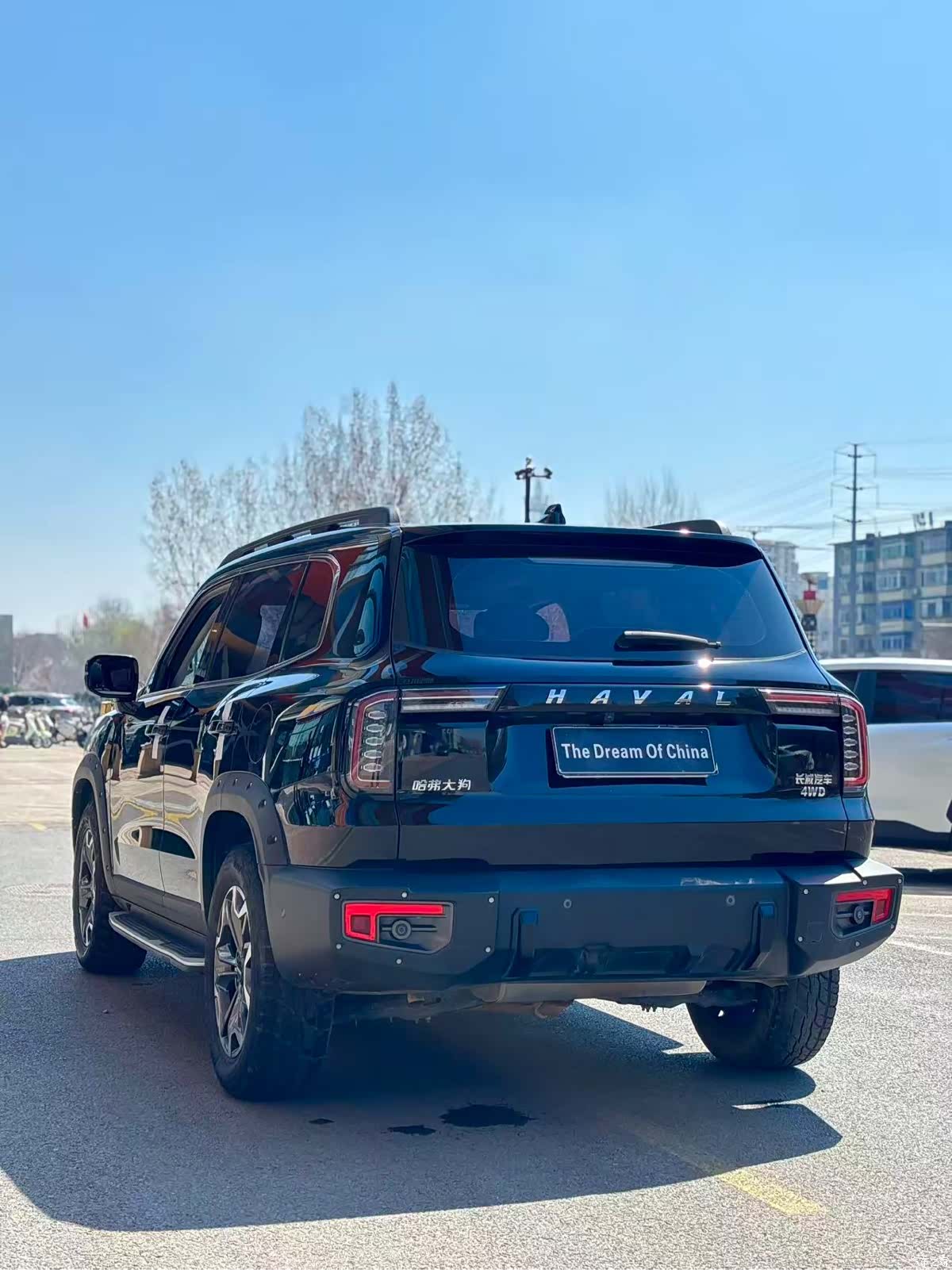 Haval Big Dog, 2022 19