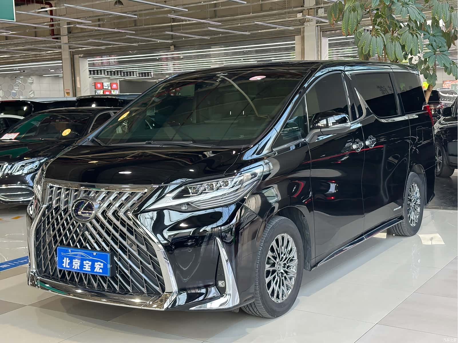 Lexus LM, 2021 1