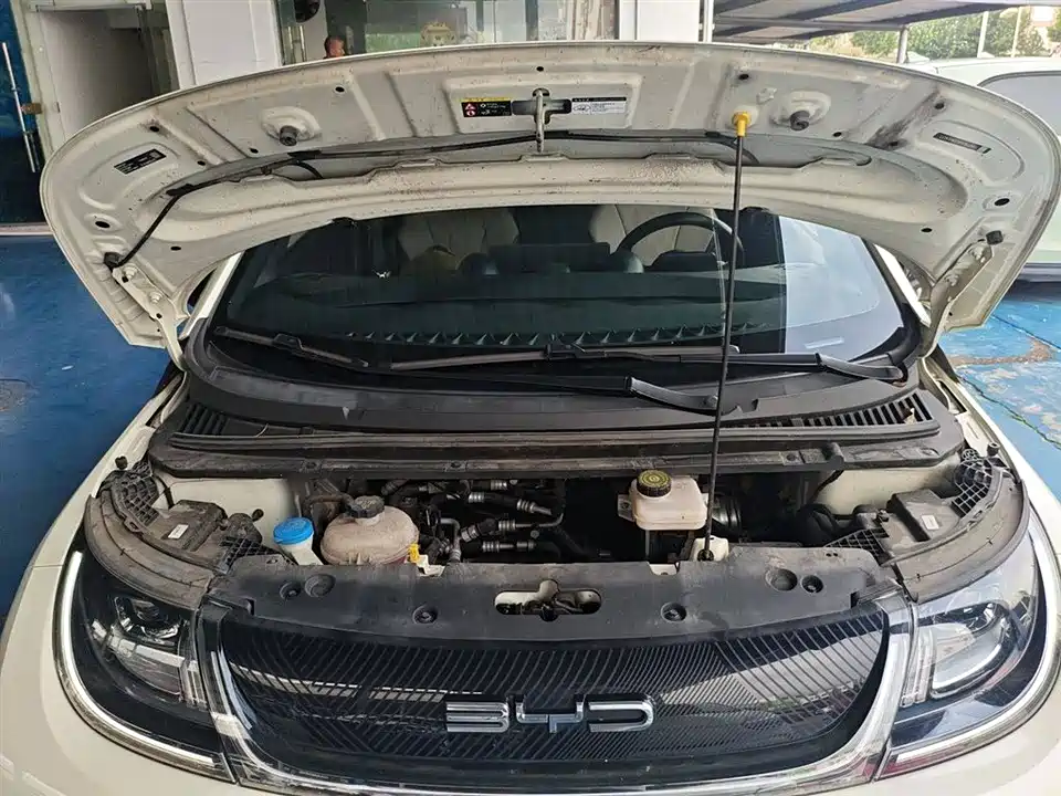 BYD dolphin