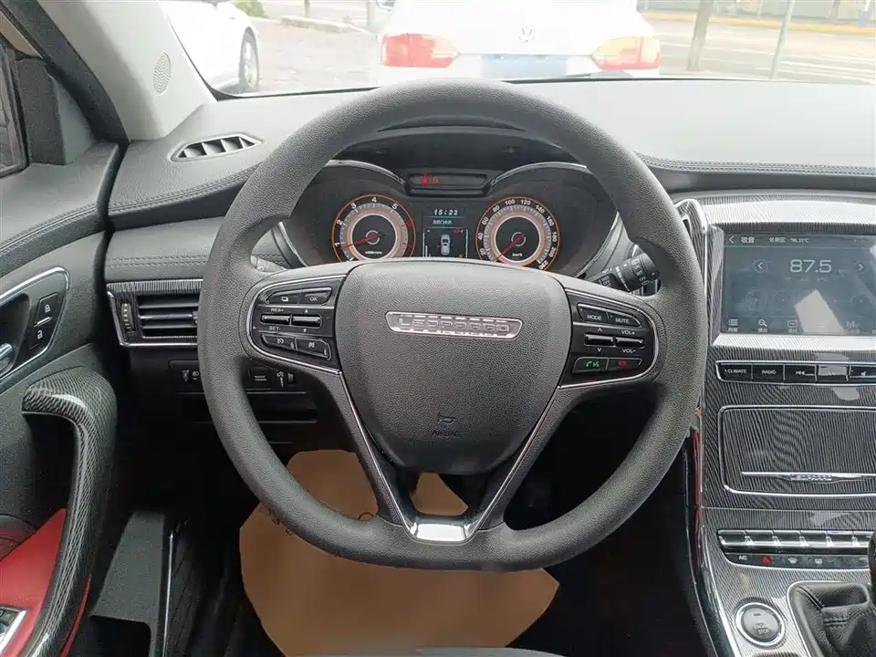 Leopaard Cheetah CS9