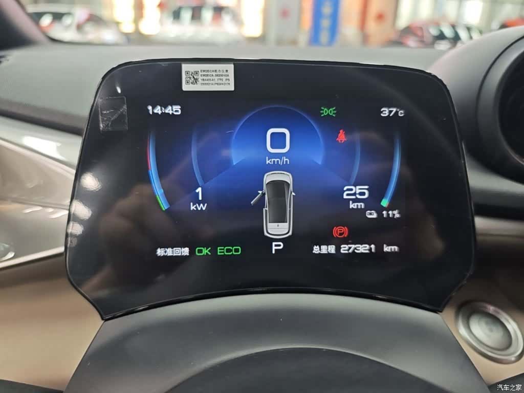 BYD Dolphin, 2024 12