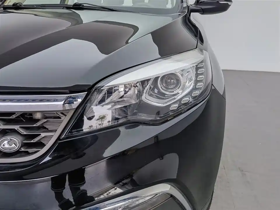 Leopaard Cheetah CS10