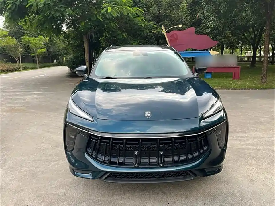 Forthing Popular T5 EVO