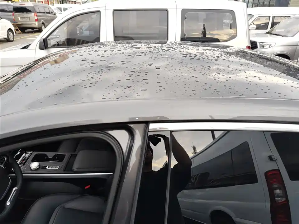 Wuling Wuling Starlight