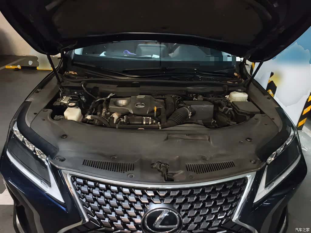 Lexus RX, 2021 11