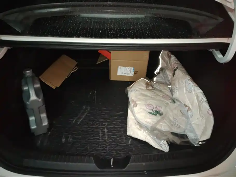 Trumpchi Shadow Leopard