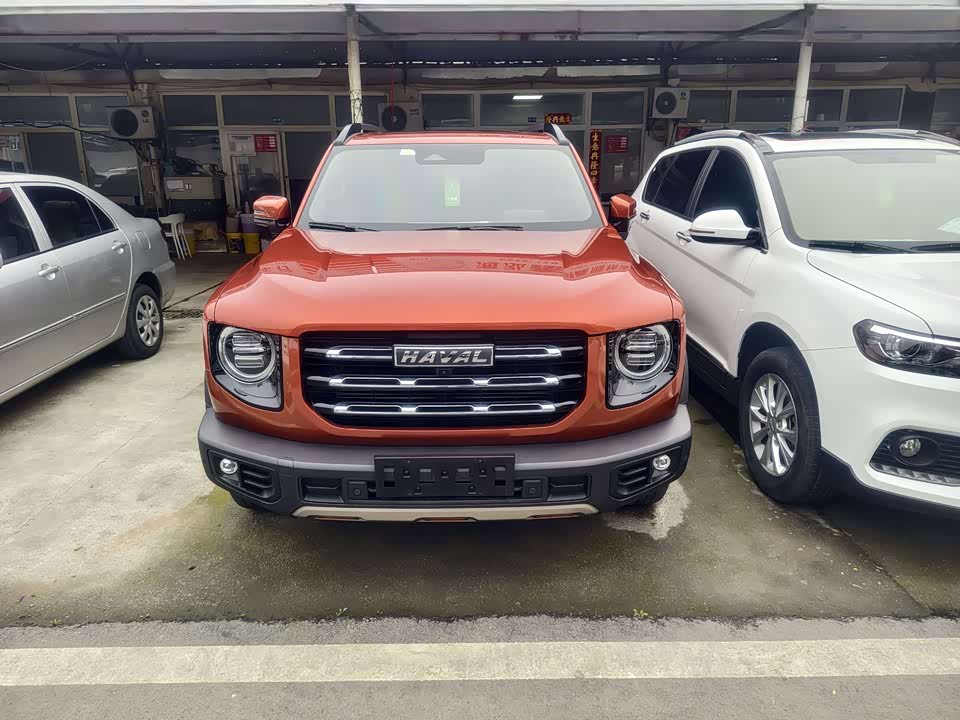 Haval Big dog