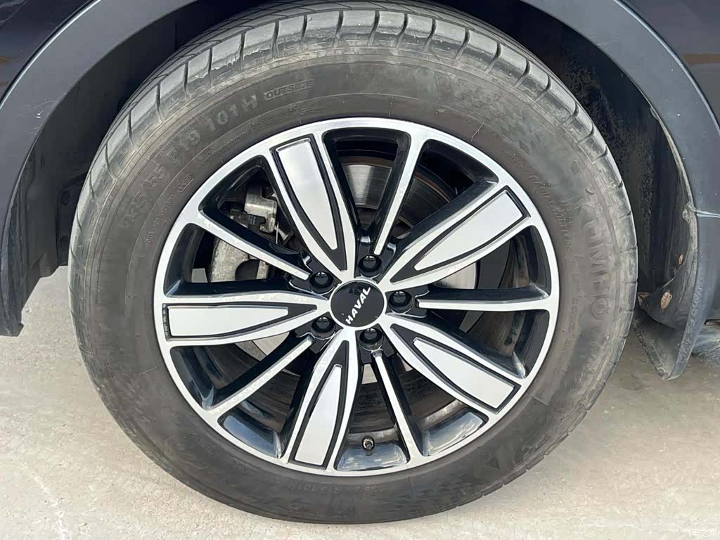Haval H6, 2023 все фото