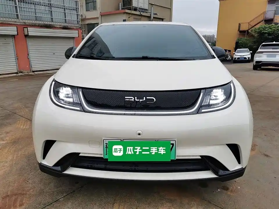 BYD dolphin