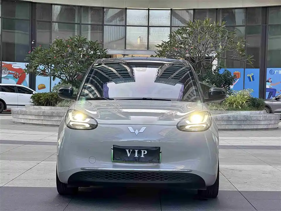 Wuling Wuling Bingguo
