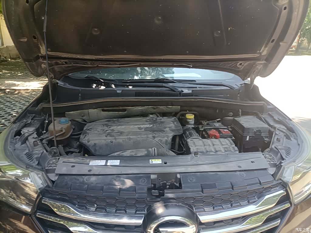 GAC GS4, 2017 20