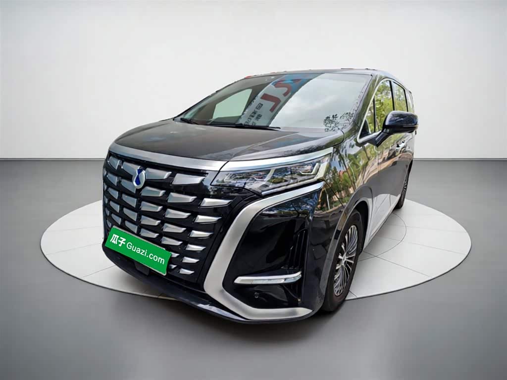Denza D9