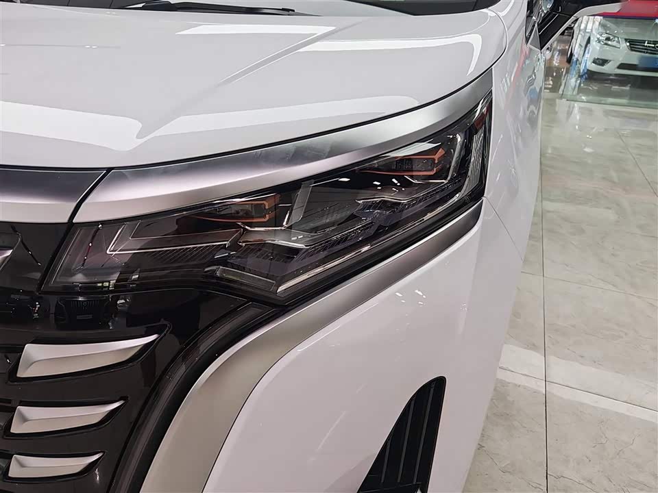 Denza D9 Denza D9