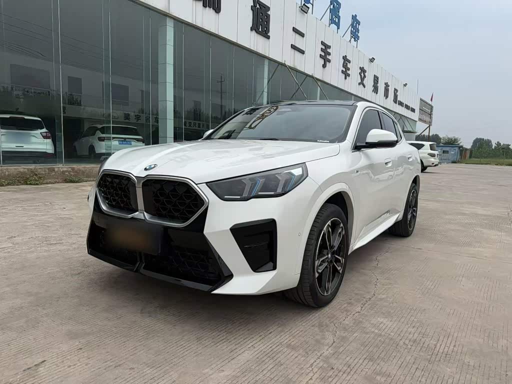BMW X2