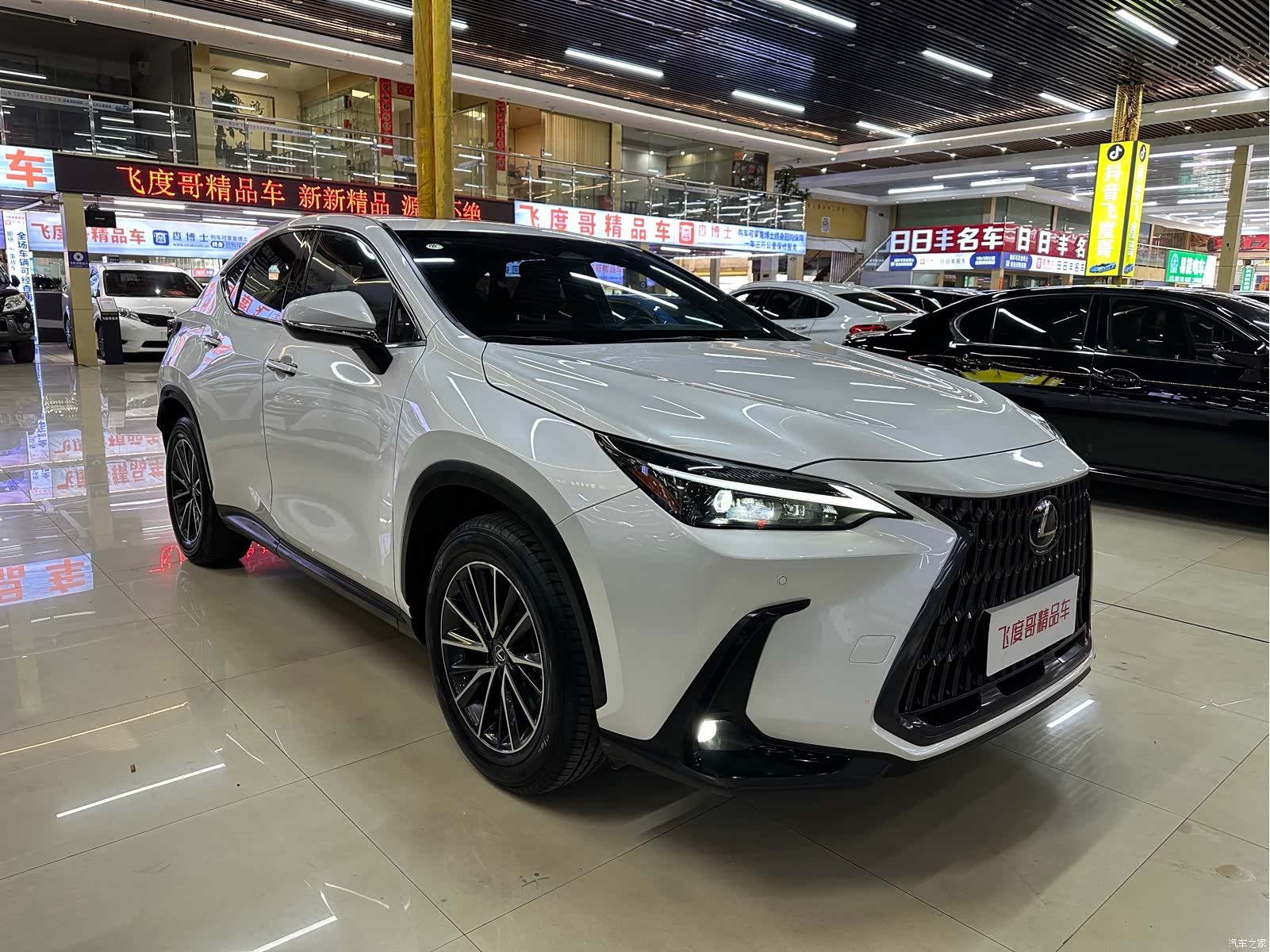 Lexus NX, 2023 3