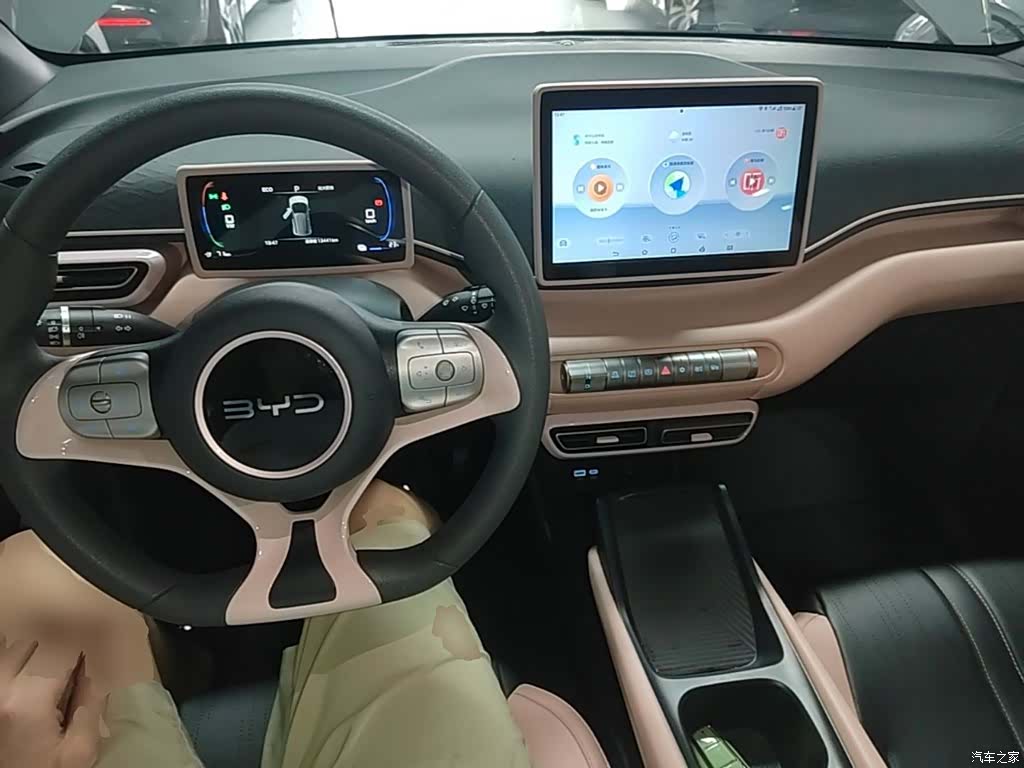 BYD Seagull, 2024 10