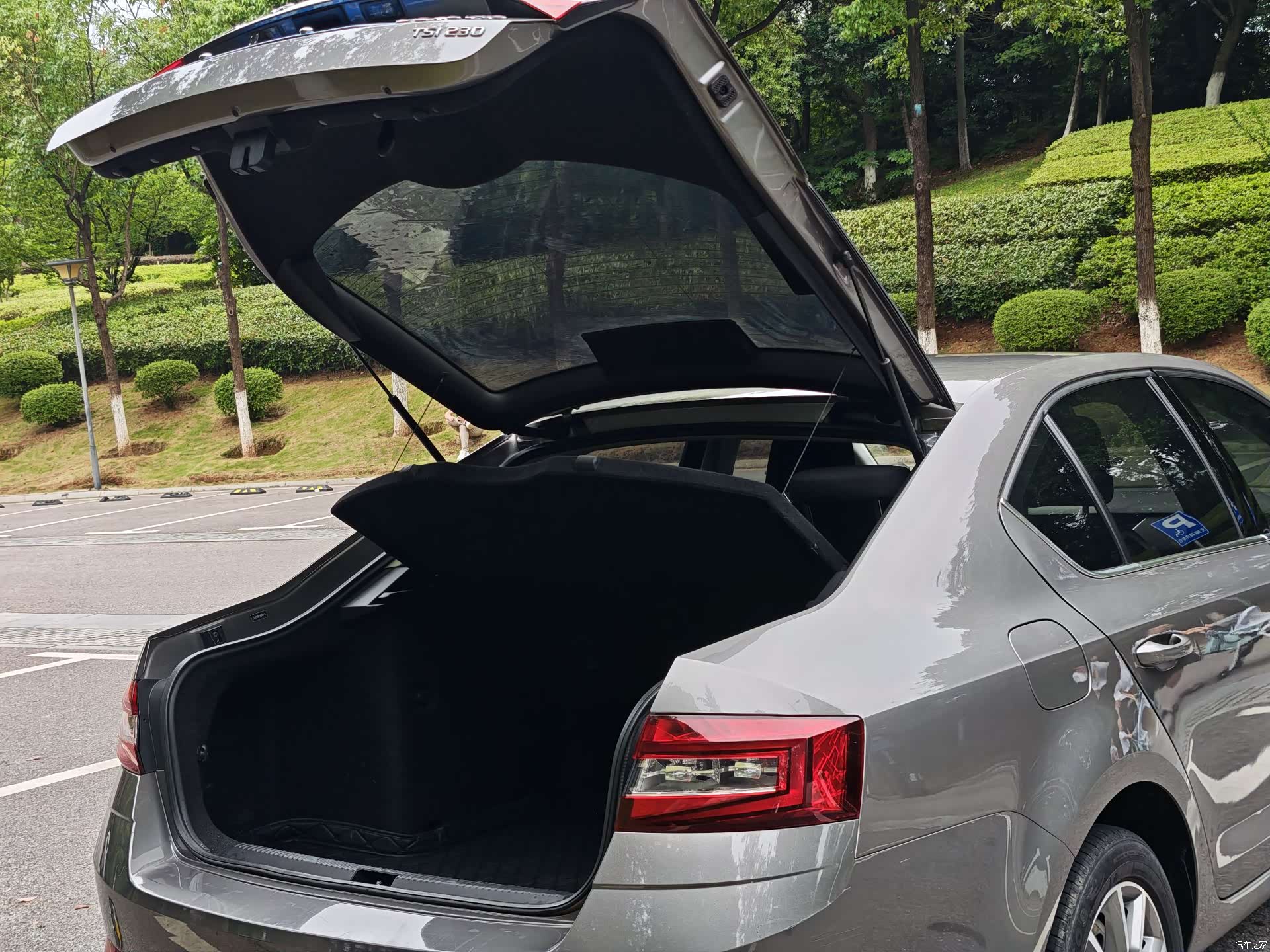Skoda Octavia, 2019 15