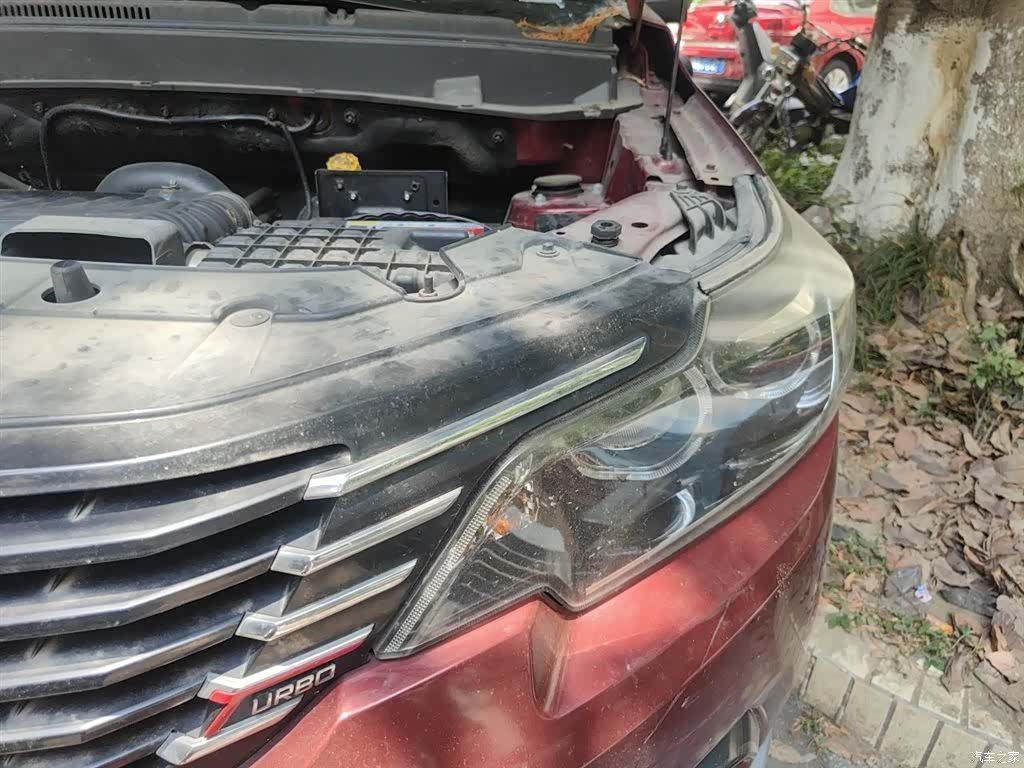 Bisu T3, 2019 22