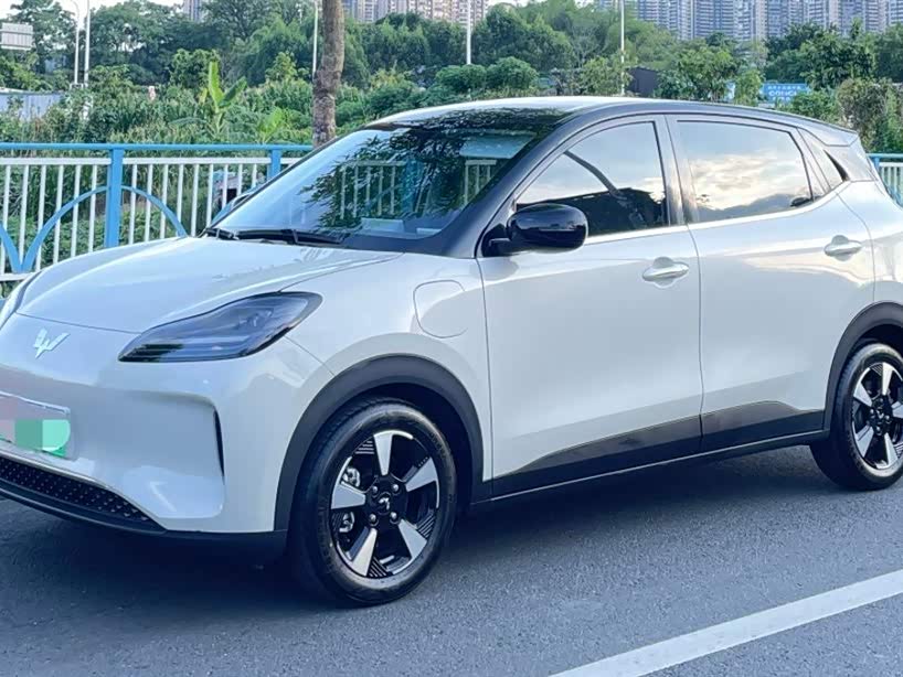 Wuling BinguoPLUS