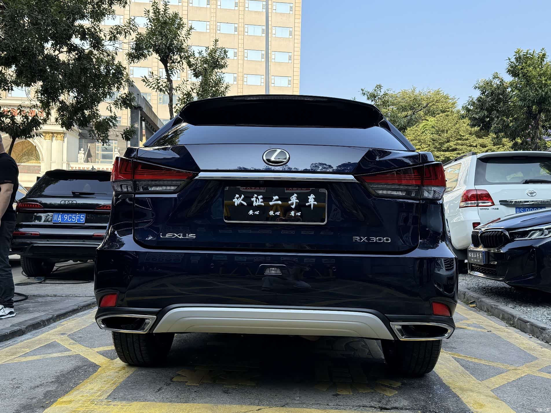 Lexus RX, 2022 6