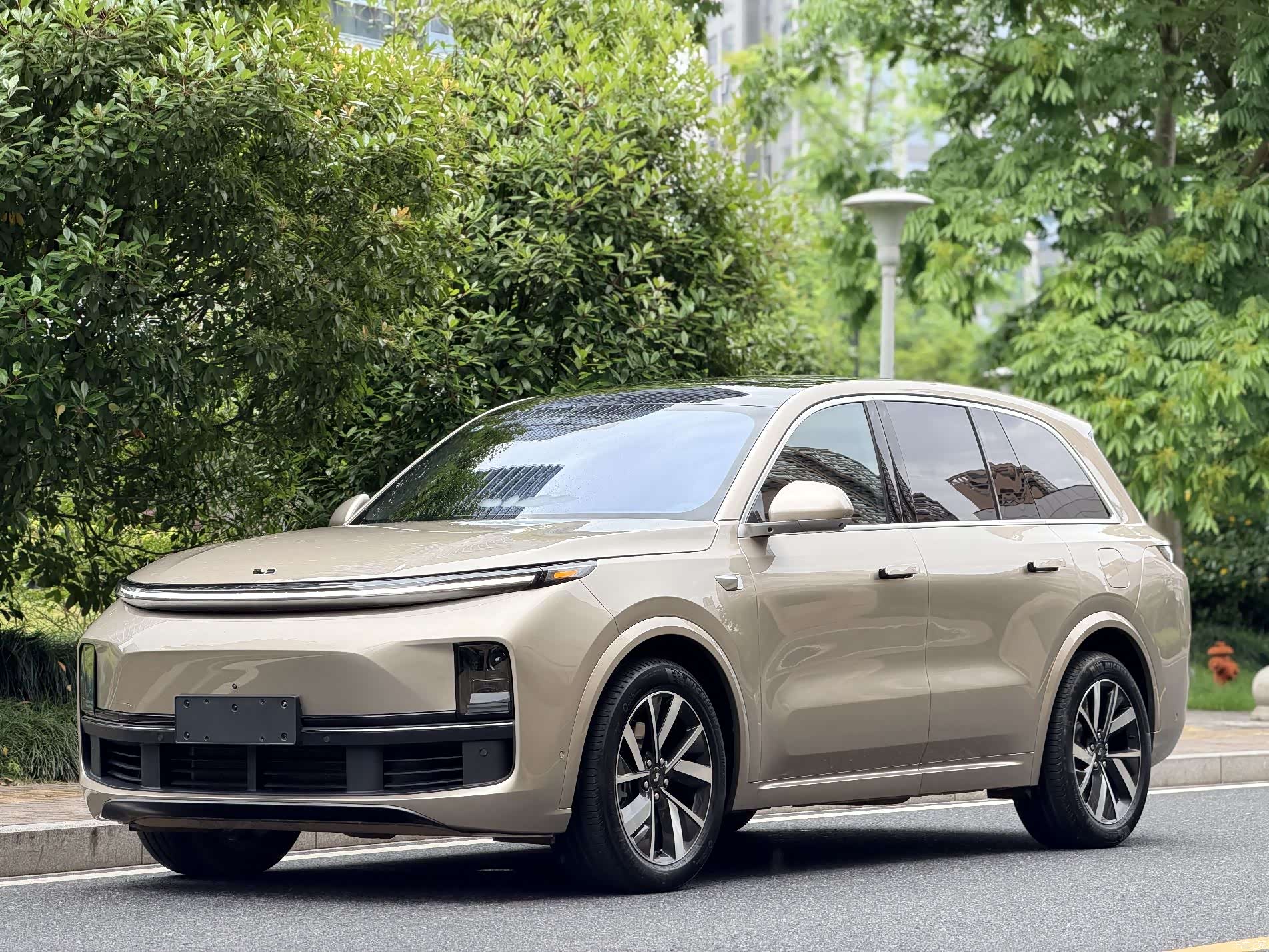 Li Auto L8, 2023 1