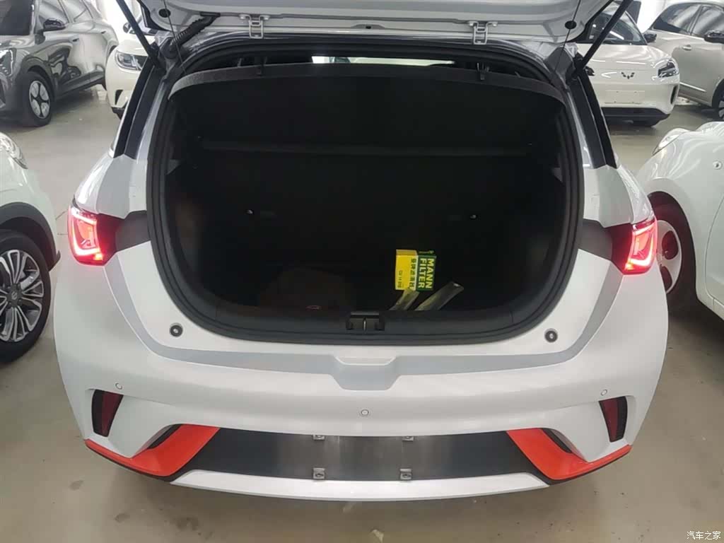 BYD Dolphin, 2021 19