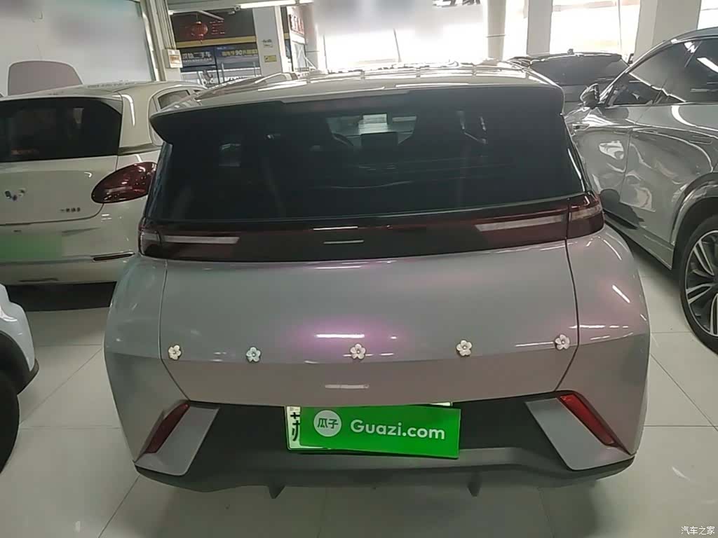 BYD Seagull, 2024 6