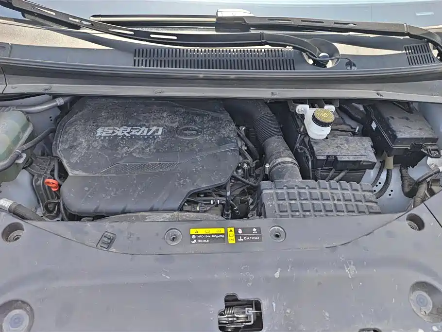 Trumpchi Trumpchi M8