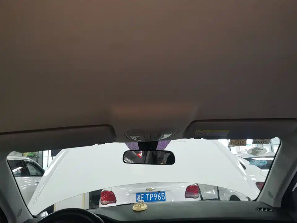 Leopaard Cheetah CS9