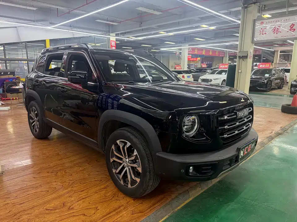 Haval Big dog