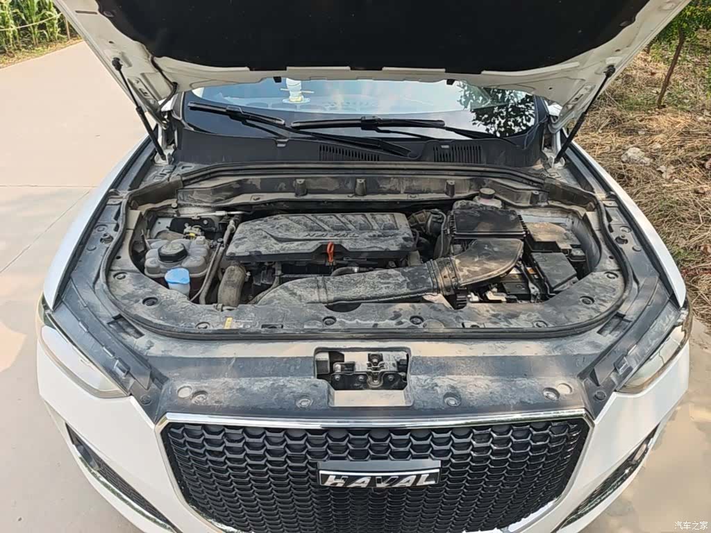Haval F5, 2020 20
