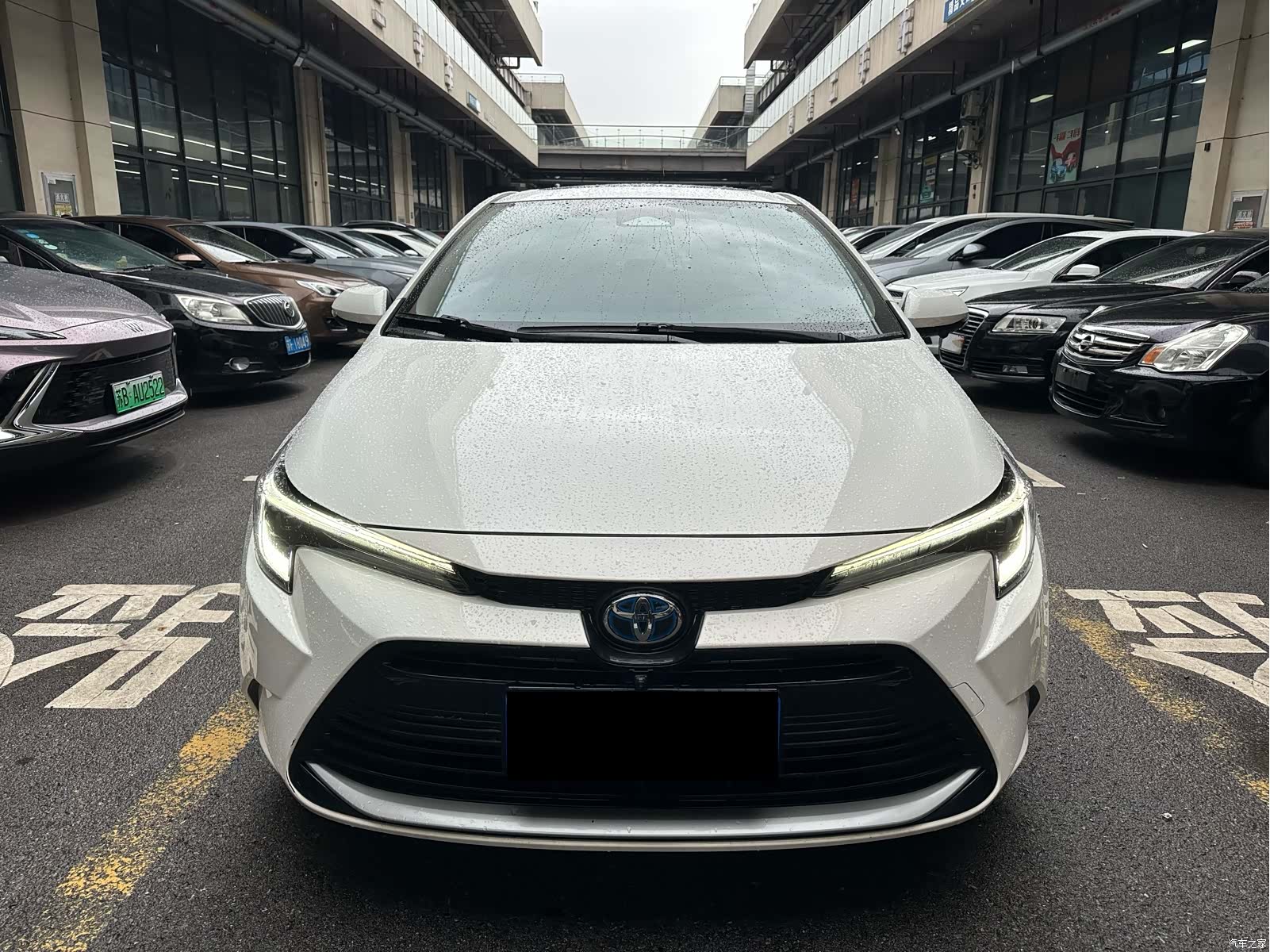Toyota Levin, 2024 2