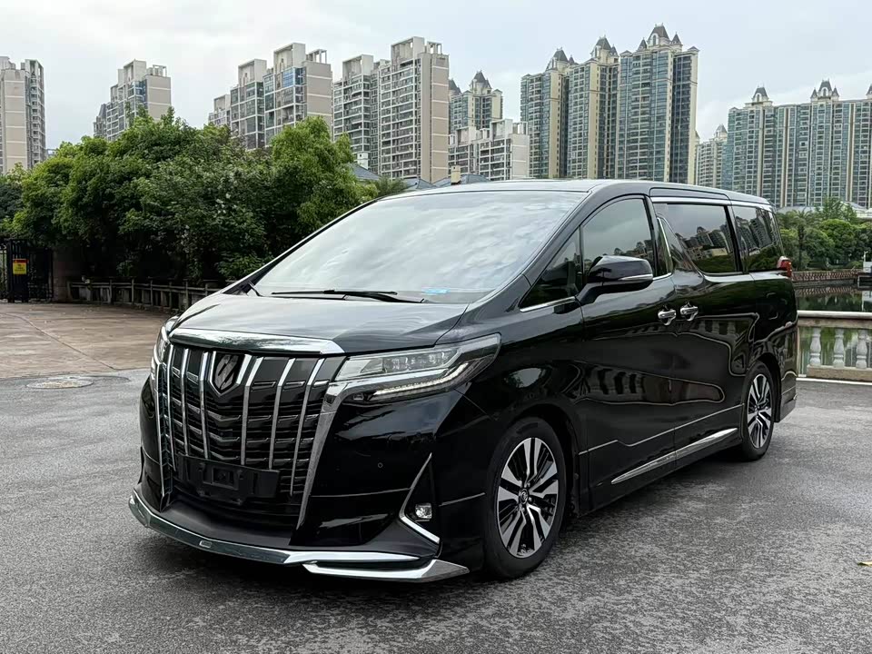 Toyota Elfa